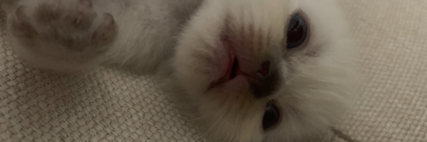 miffyrenee's profile banner image