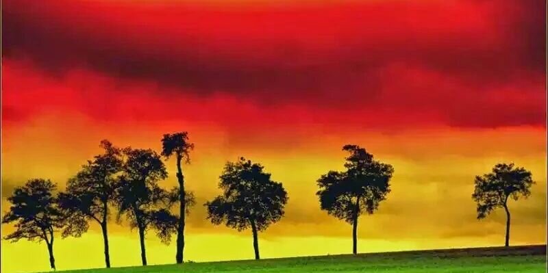 Ro8Er70's profile banner image