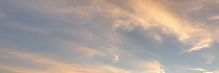 pxknnk's profile banner image