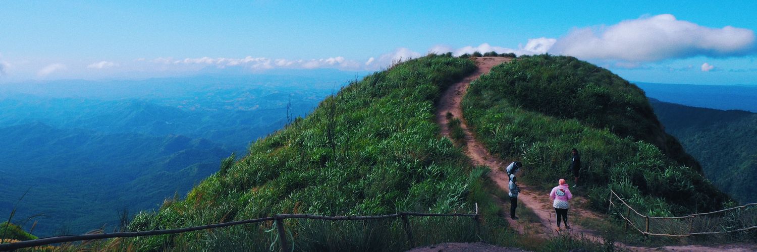 TreeLaKow's profile banner image