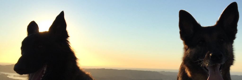 esodesod's profile banner image