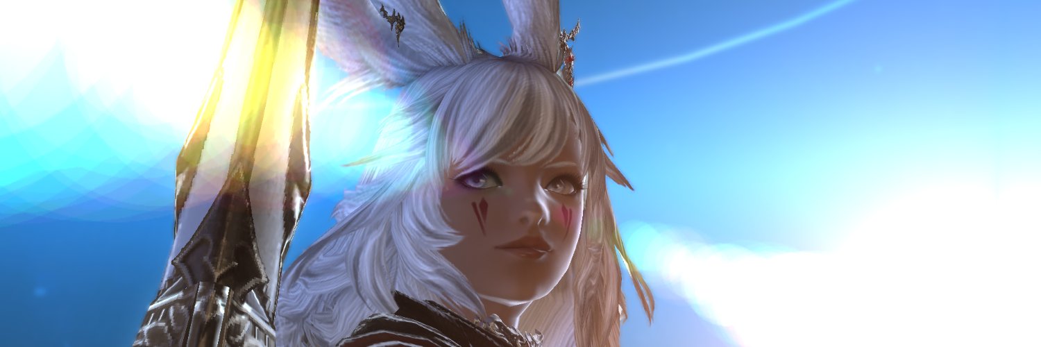 calvo banner