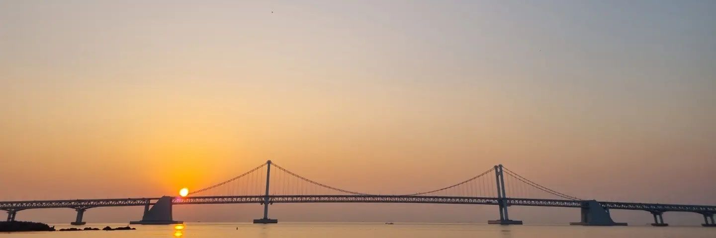 shyseattle's profile banner image