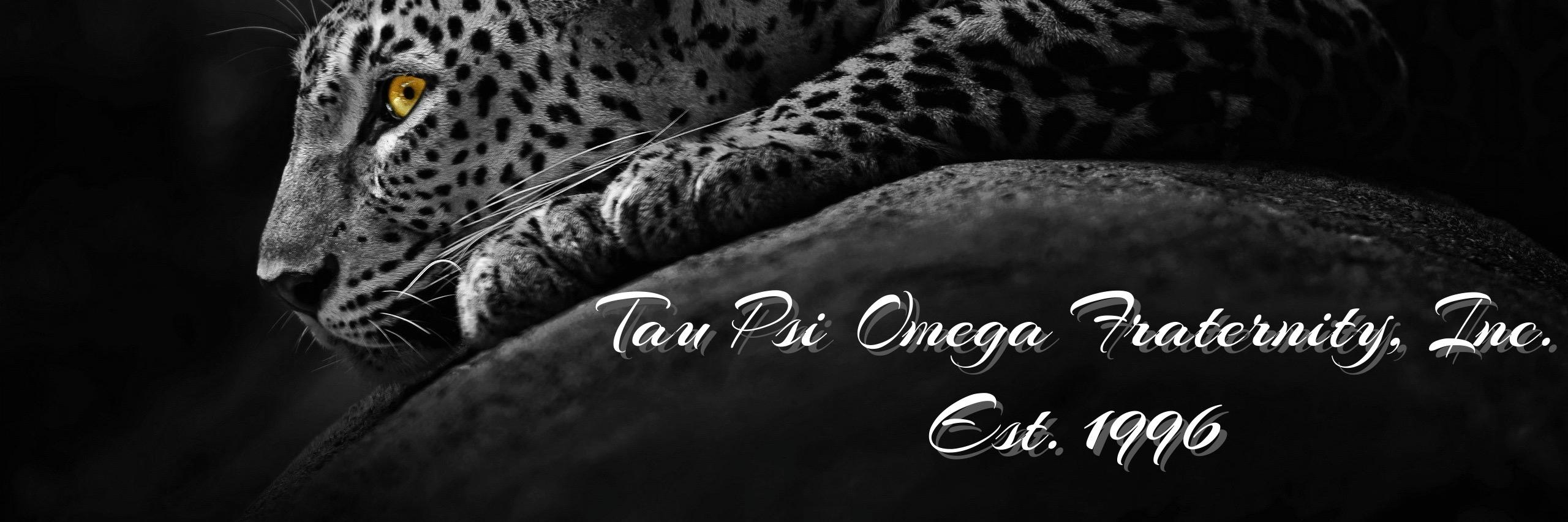 TauPsiOmega's profile banner image