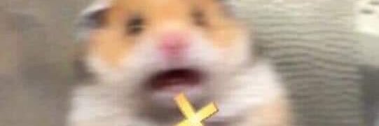 M I R I A M 💫 banner