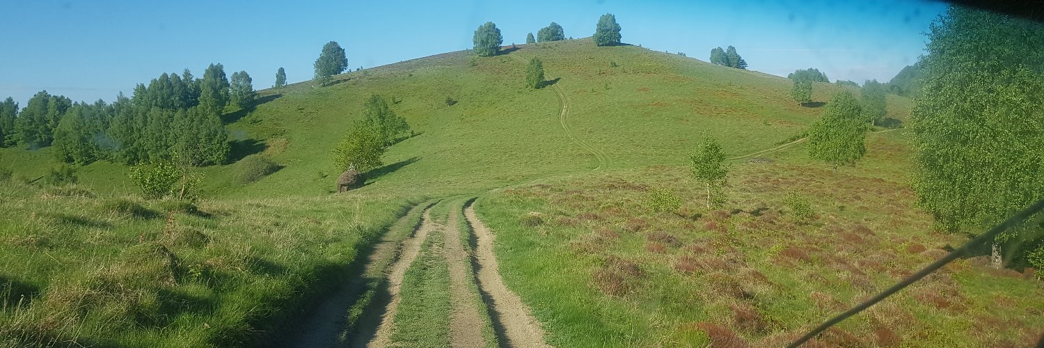 Holunderbusch08's profile banner image