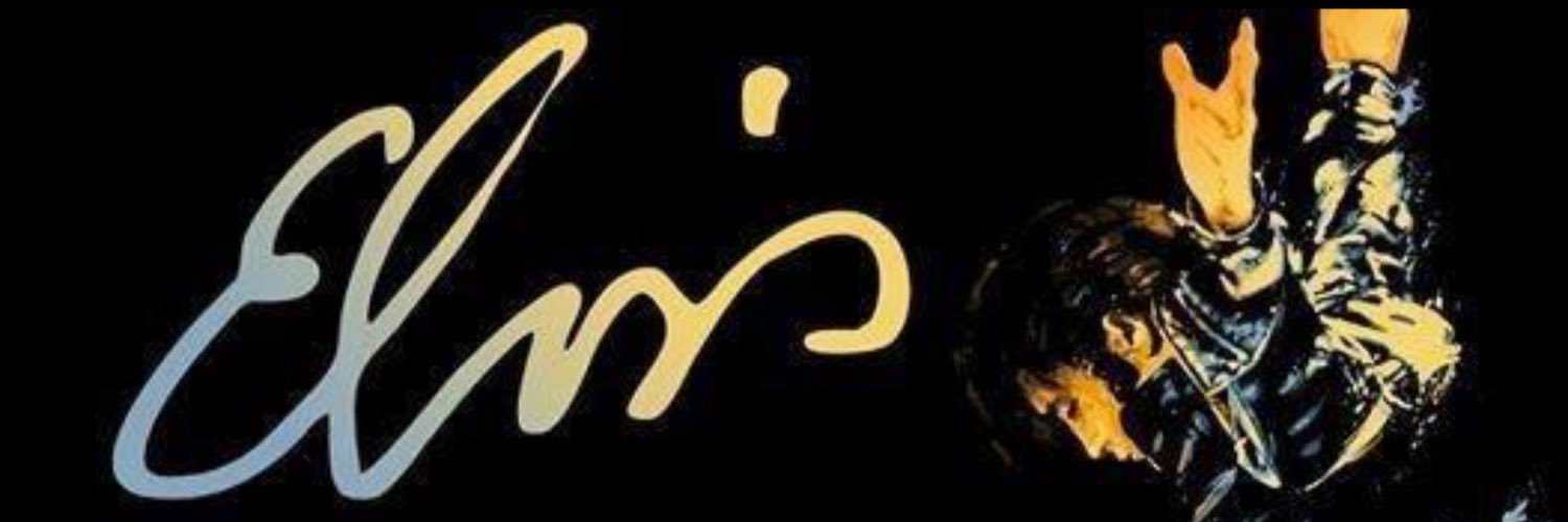 sandramcdool's profile banner image