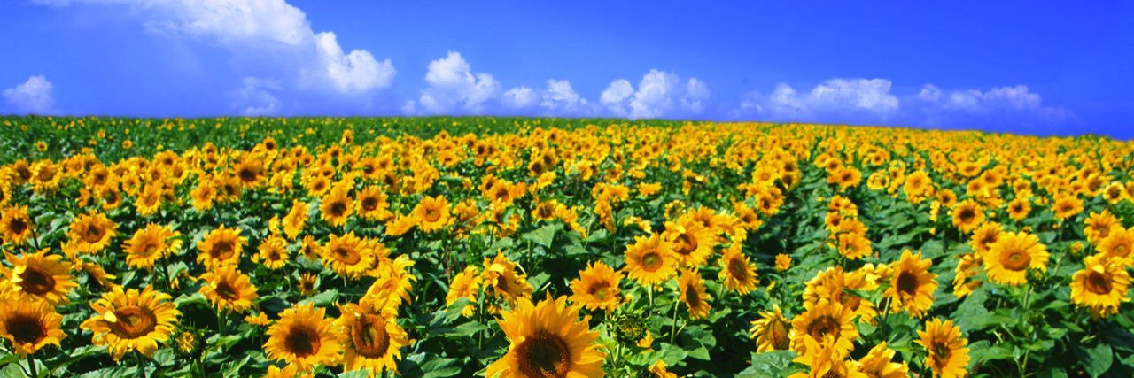 acho_0608's profile banner image