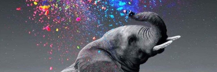 StrawbeeNab's profile banner image