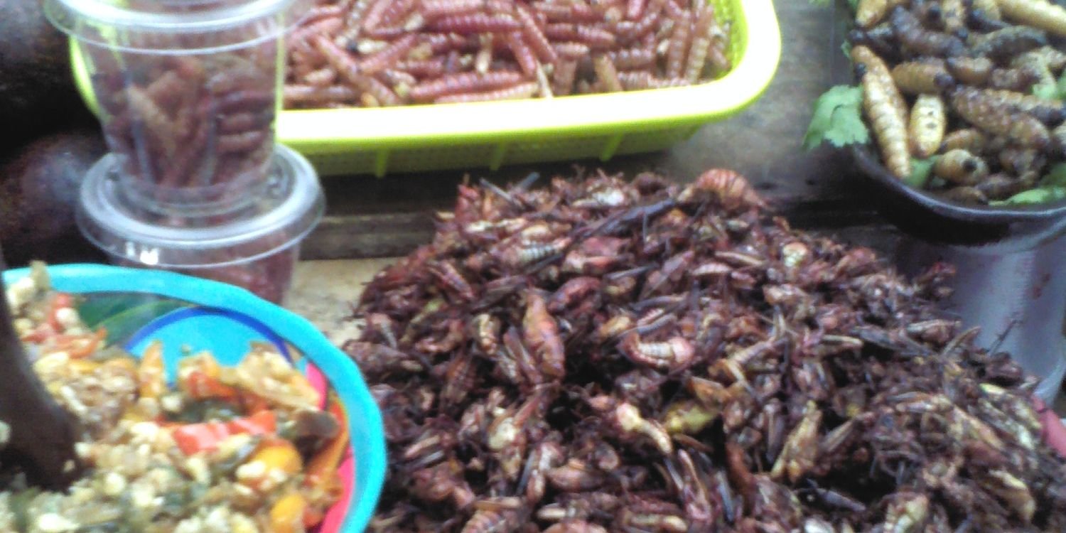 javierchef's profile banner image