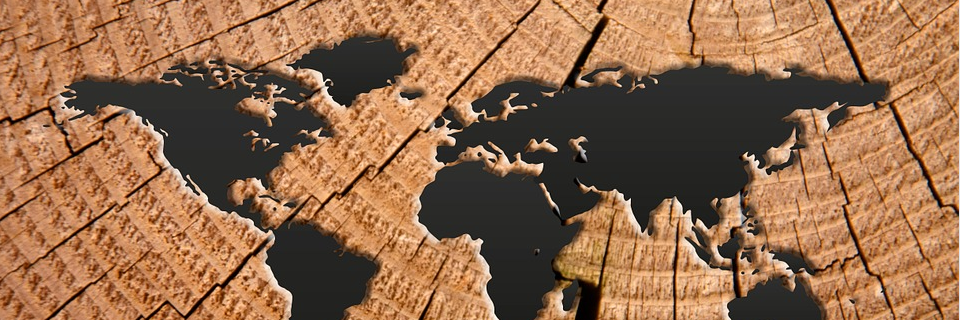 GospelPolitics's profile banner image