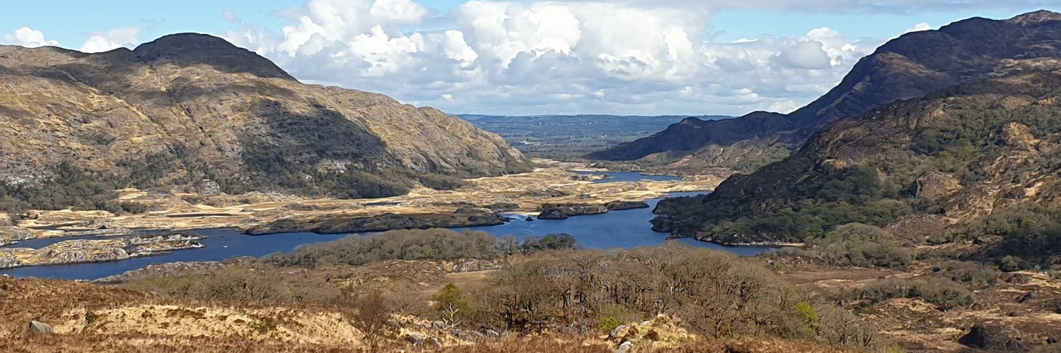 Michael I Jackson banner