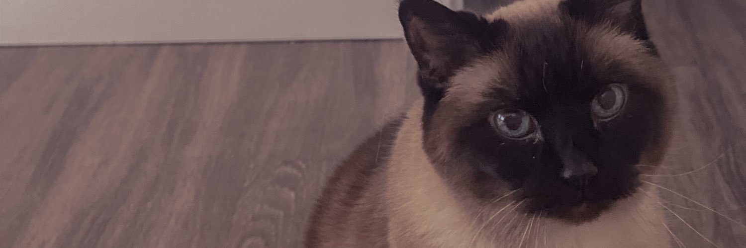 cassieedill's profile banner image