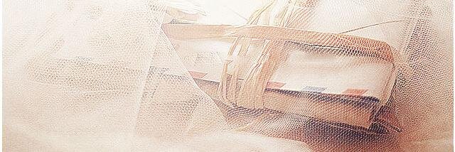 Reemh_s2's profile banner image