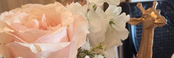 GatherMcKinney Profile Banner