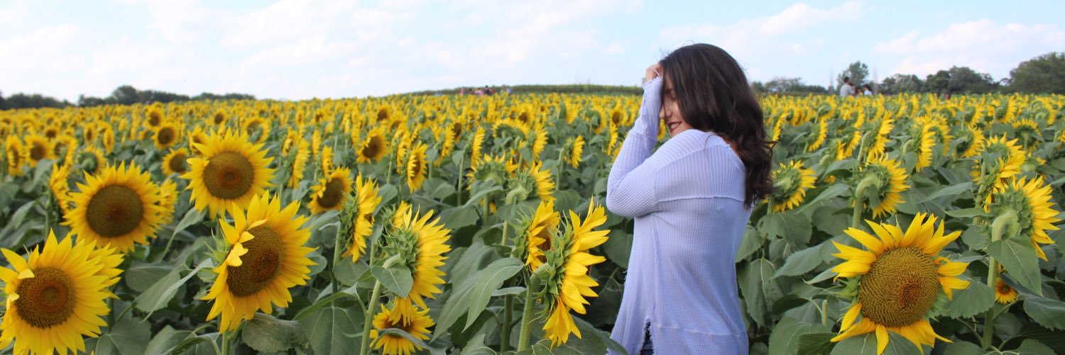 Chemca's profile banner image