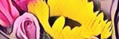 nadialsaenz's profile banner image
