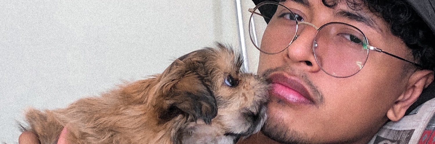 bruuninoo's profile banner image