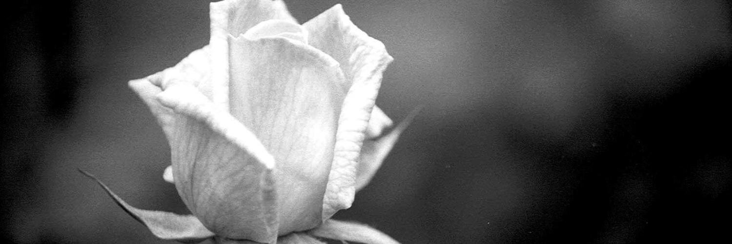 carlosabalde's profile banner image