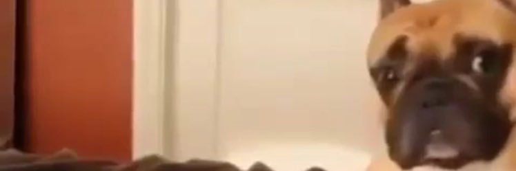 DanielFab10's profile banner image