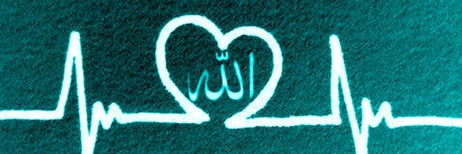 zaf_ banner