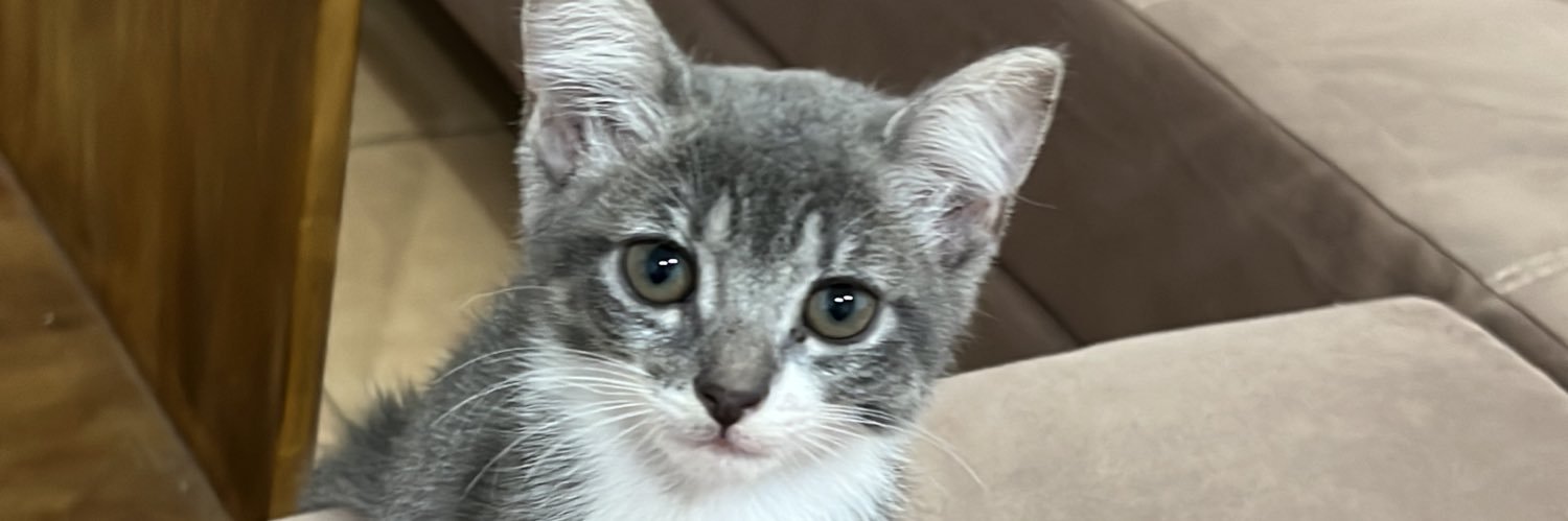 floooorencia__'s profile banner image