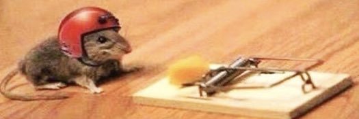 Skaapchop's profile banner image