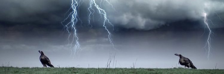 austinlockart11's profile banner image