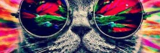 NicolasBrav's profile banner image