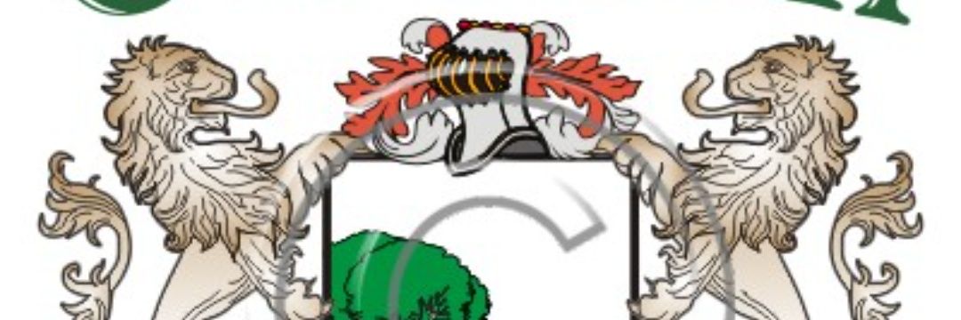 bigbuck4201's profile banner image