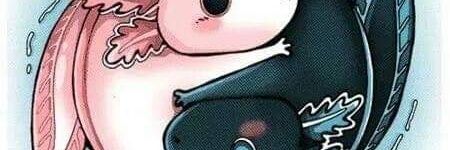 ElBroderKory's profile banner image