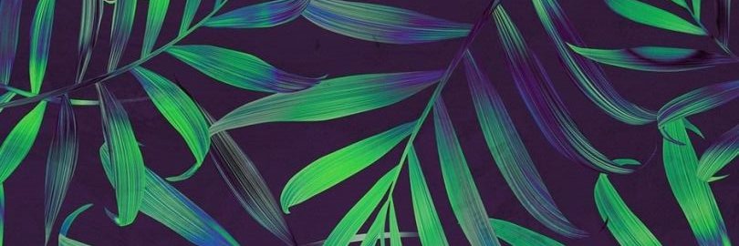 xRoeyH's profile banner image