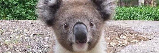 kyle_wyrick's profile banner image