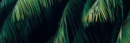 Carla.Qua banner
