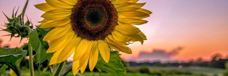 GeeklyTay's profile banner image