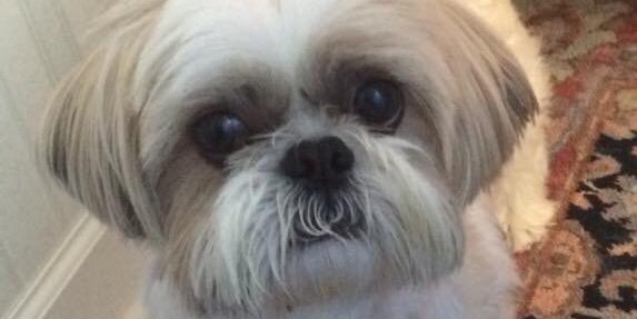 wrigley32's profile banner image