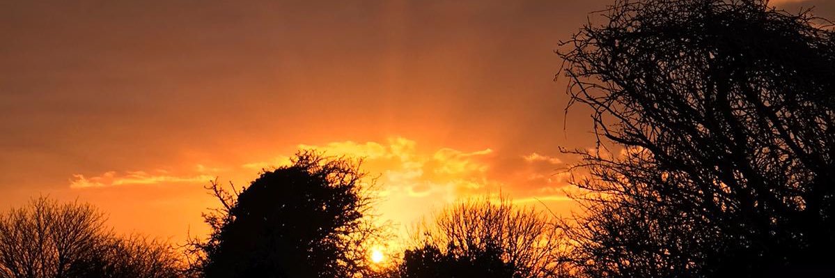 Tashax83's profile banner image