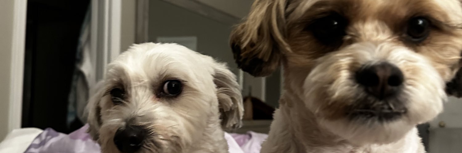 stephbombdotcom's profile banner image