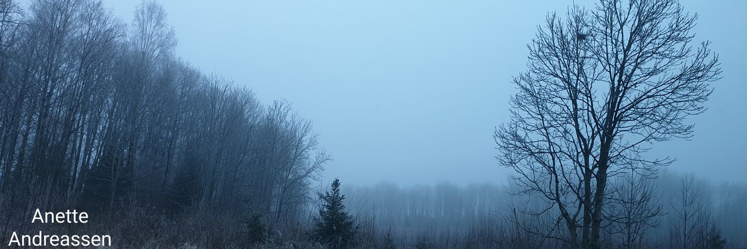 anetteslife's profile banner image