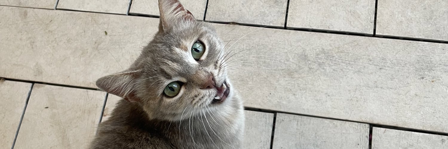 heyitiskels's profile banner image