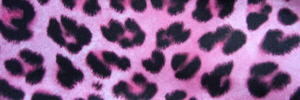 MissRomania69 Profile Banner