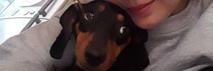juleivaaa's profile banner image