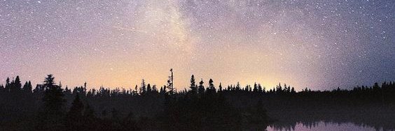 reno_xd's profile banner image