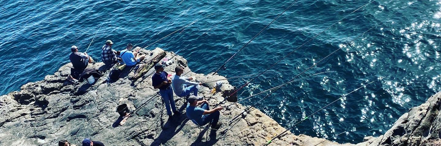 Nilofer Lakhani banner