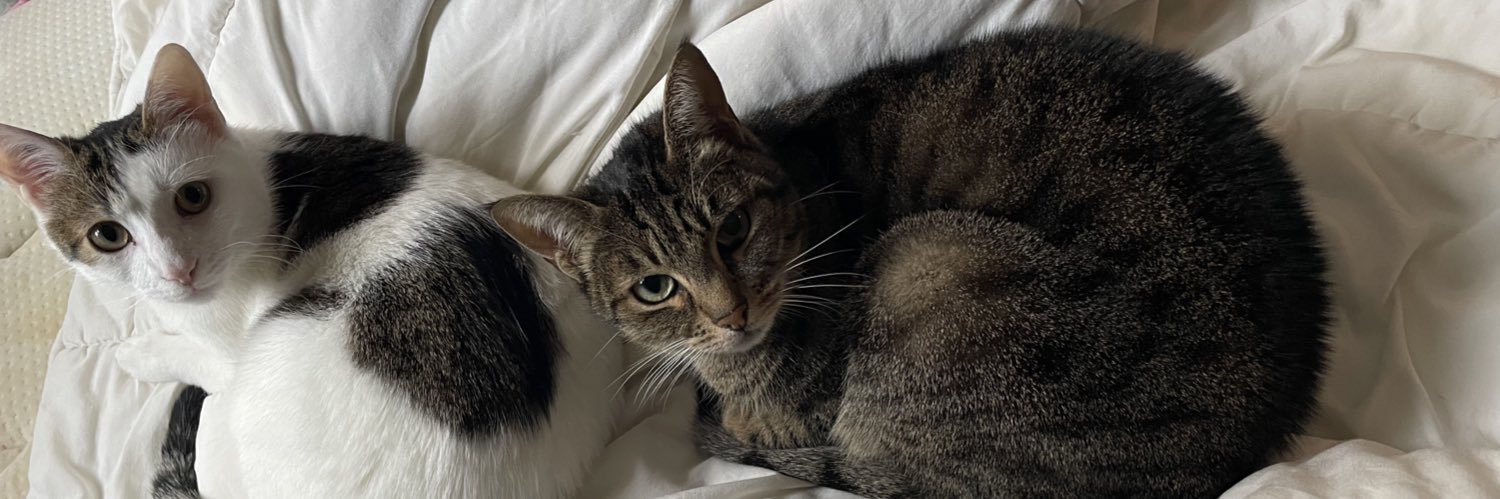 Estelle🏊‍♀️🌸🐈⭐️ banner