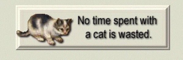 bifurious_kat's profile banner image