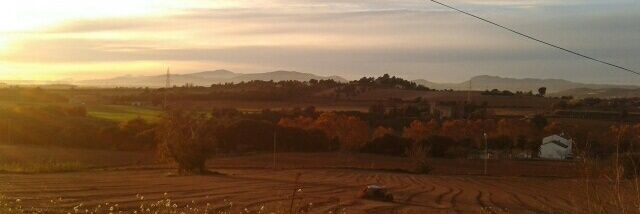 montsepineiro's profile banner image