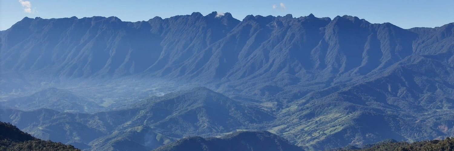 markus_sander's profile banner image