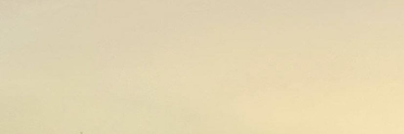 zaraflynn's profile banner image