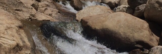 Amberlyn81's profile banner image